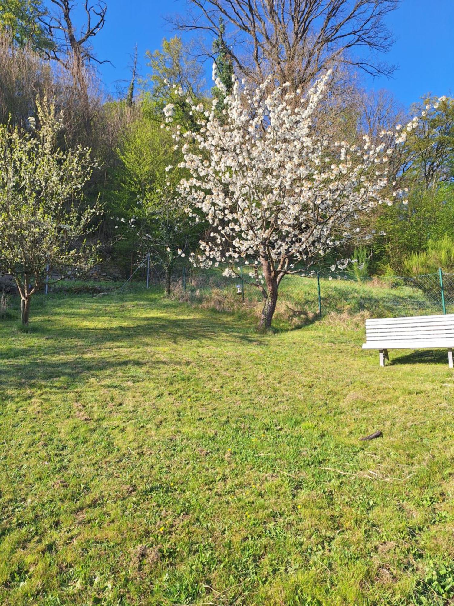 Kleines Domizil Am Suedhang Ortenberg  Room photo
